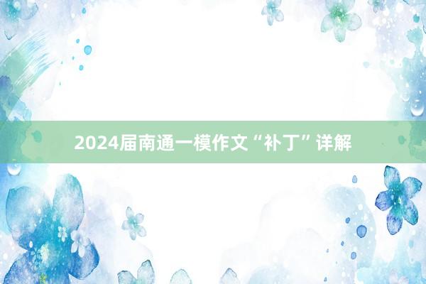 2024届南通一模作文“补丁”详解