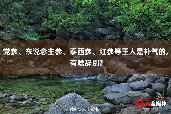 党参、东说念主参、泰西参、红参等王人是补气的, 有啥辞别?