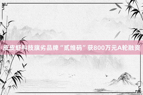 皮皮虾科技旗劣品牌“贰维码”获800万元A轮融资