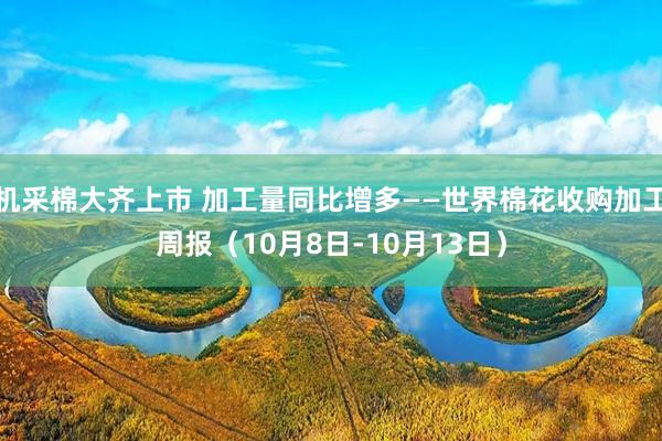 机采棉大齐上市 加工量同比增多——世界棉花收购加工周报（10月8日-10月13日）