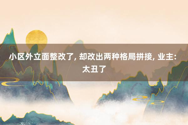 小区外立面整改了, 却改出两种格局拼接, 业主: 太丑了