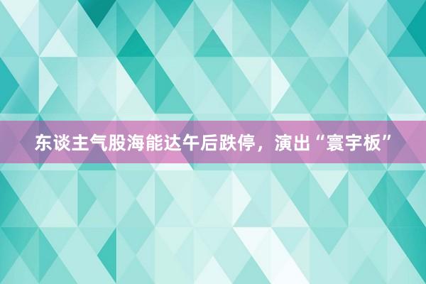 东谈主气股海能达午后跌停，演出“寰宇板”