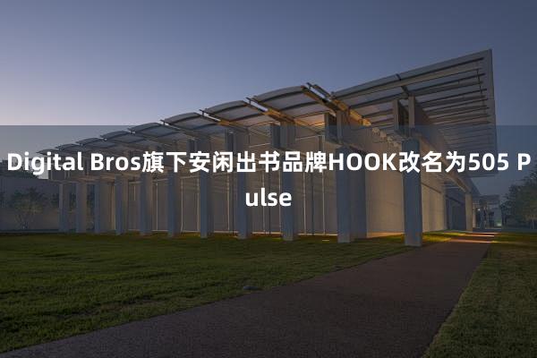 Digital Bros旗下安闲出书品牌HOOK改名为505 Pulse