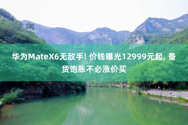 华为MateX6无敌手! 价钱曝光12999元起, 备货饱胀不必涨价买