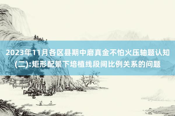 2023年11月各区县期中磨真金不怕火压轴题认知(二):矩形配景下培植线段间比例关系的问题